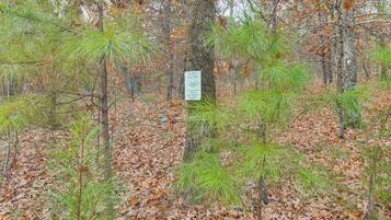 A forested area with a wildlife sanctuary sign.