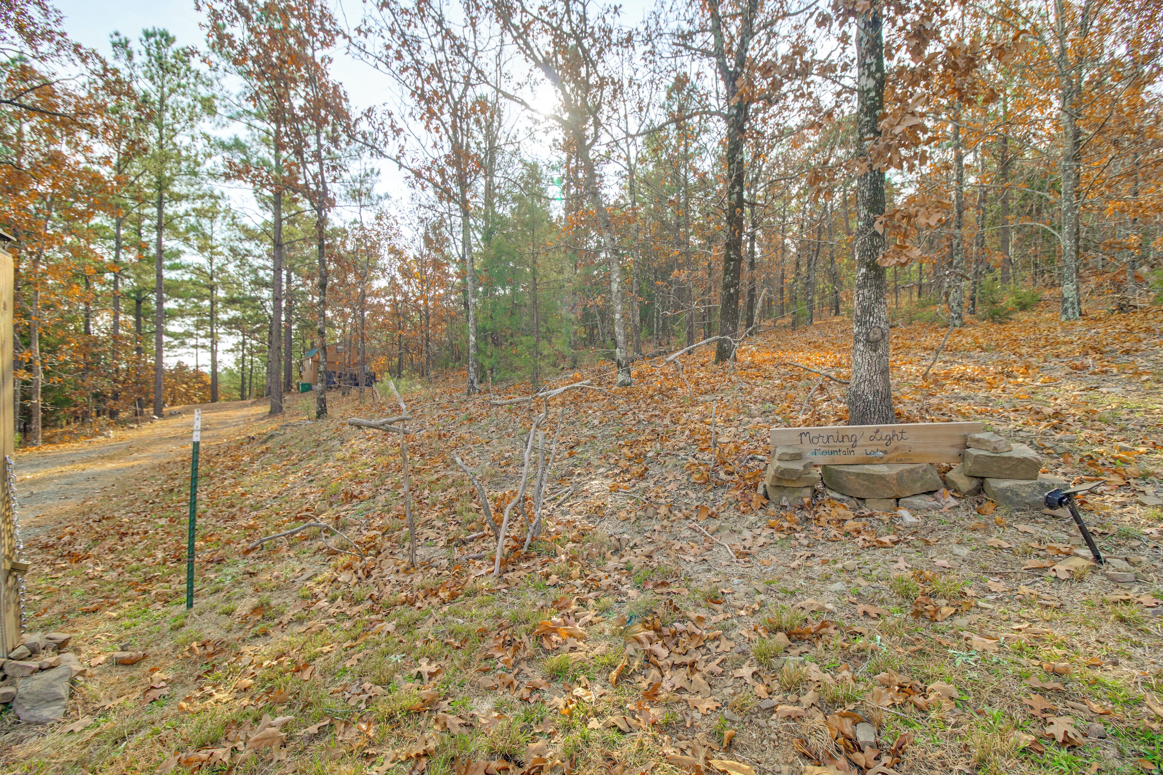 A forested area with a wooden sign reading "Morning Light Mountain Lodge."
