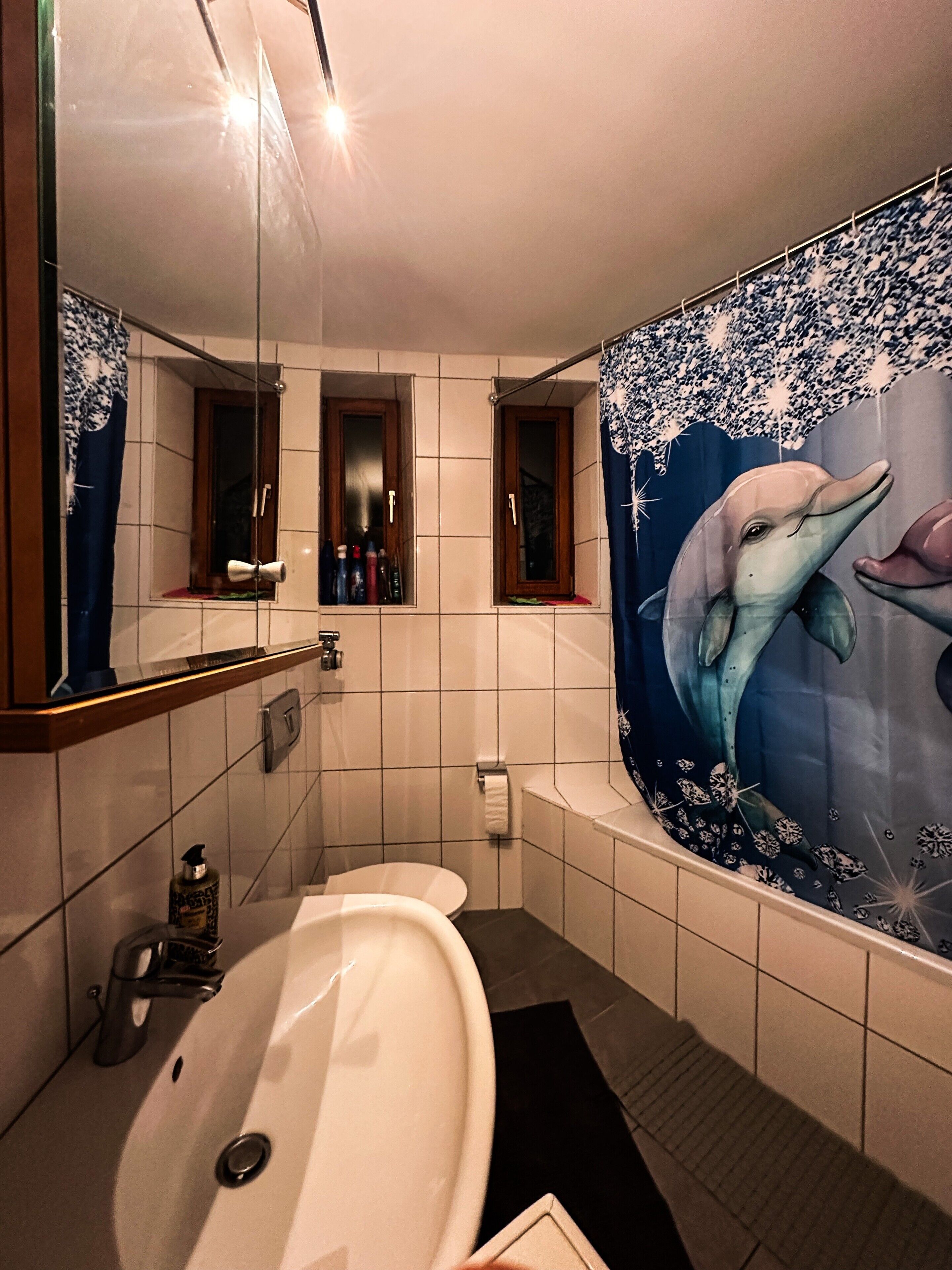 Dusche, Haartrockner, Handtücher