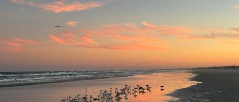 Sur la plage, serviettes de plage
