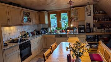 KĂŒhlschrank, Mikrowelle, Ofen, Herdplatte