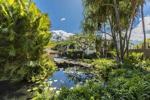 Property grounds - Wailea Beach Villa K207 2 Bedroom Villa (Kihei)