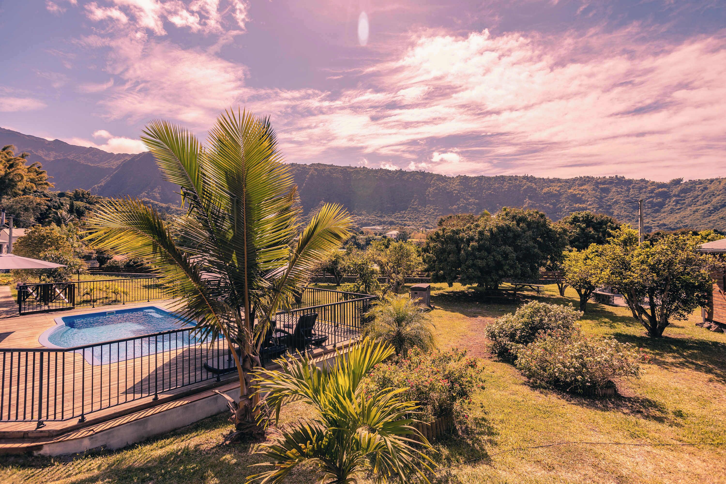 A swimming pool with a surrounding deck, palm trees, and a mountainous backdrop.