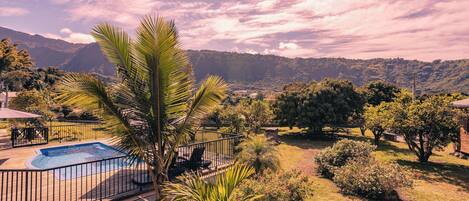 A swimming pool with a surrounding deck, palm trees, and a mountainous backdrop.