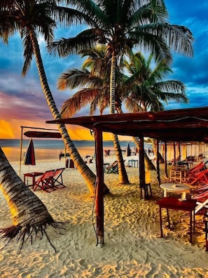 Escena de playa con palmeras, sillas y mesas bajo una estructura de madera.