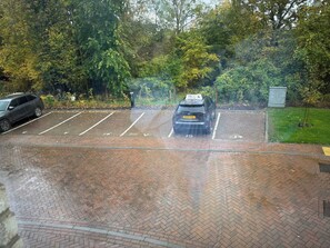 Dormitorio compartido, 1 habitación | Áreas de la propiedad