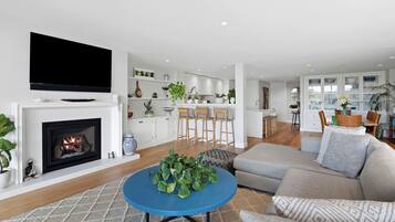 TV, fireplace, books