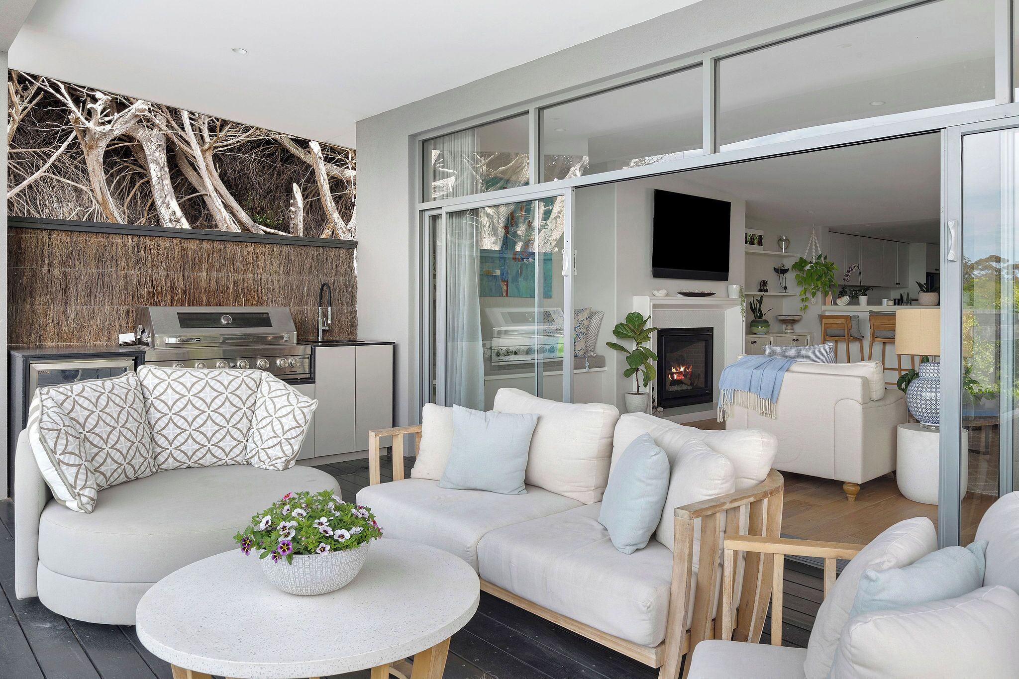 TV, fireplace, books