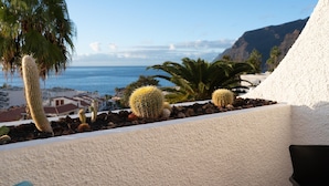 Un jardín de cactus con vistas al océano y las montañas.