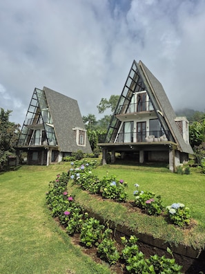 Minibar, desk, free WiFi - Tamblingan Village (Munduk)