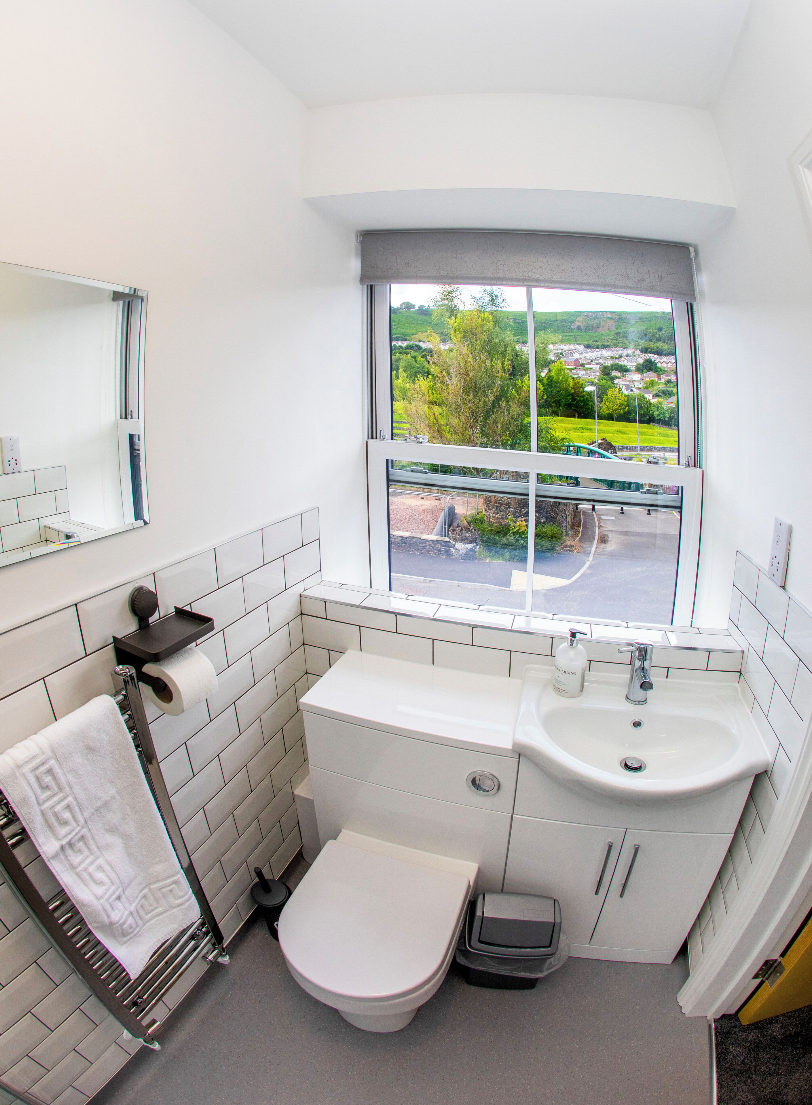 A bathroom with a toilet, sink, and mirror.
