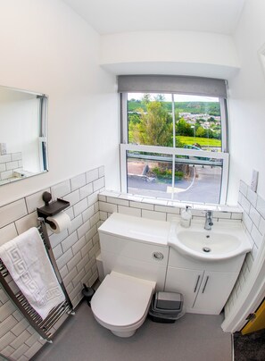 A bathroom with a toilet, sink, and mirror.