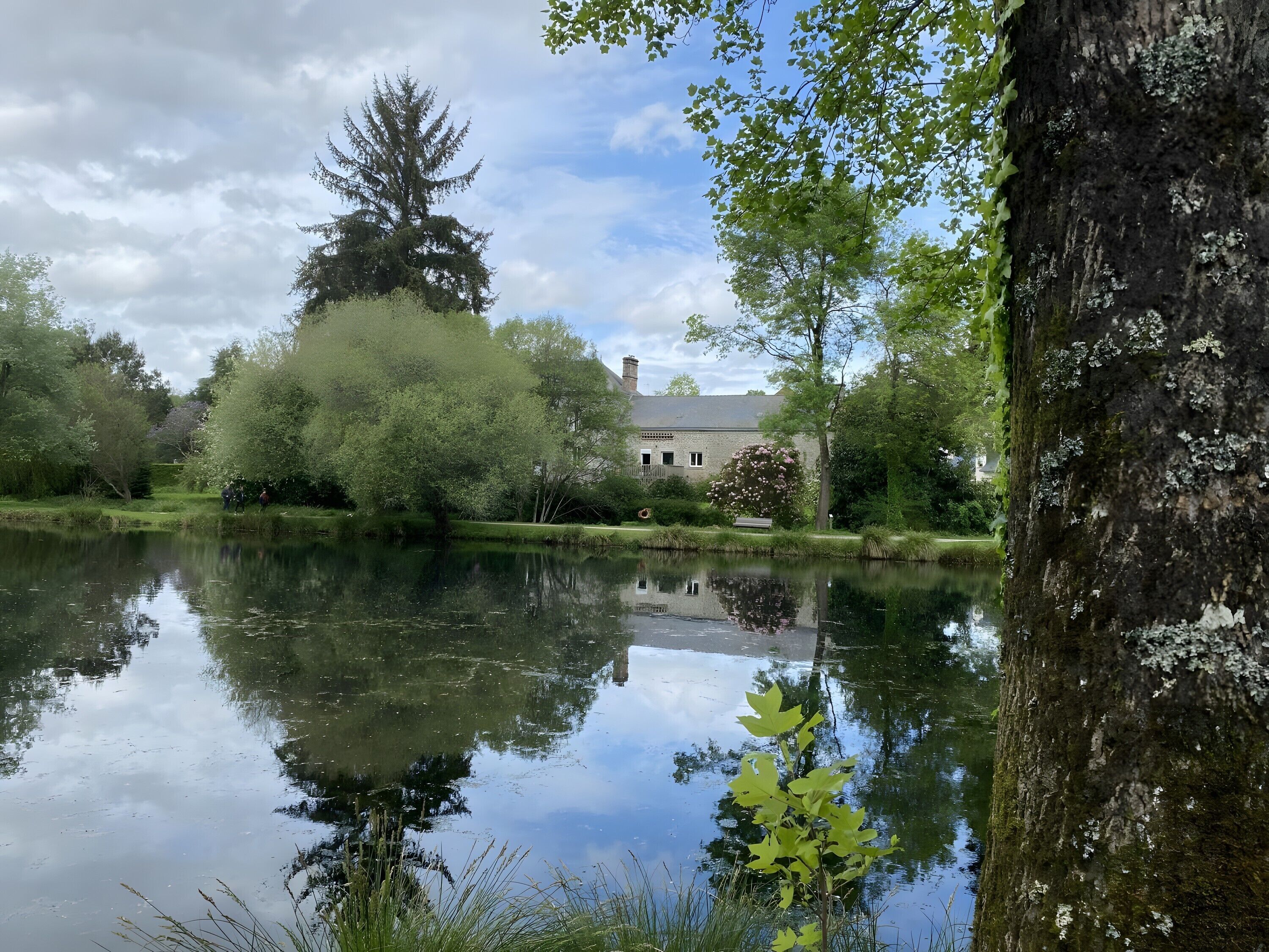 Terrein van de accommodatie