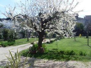 المنطقة المحيطة بالمنشأة