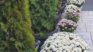 Apartment, 1 Bedroom, Balcony | Property grounds