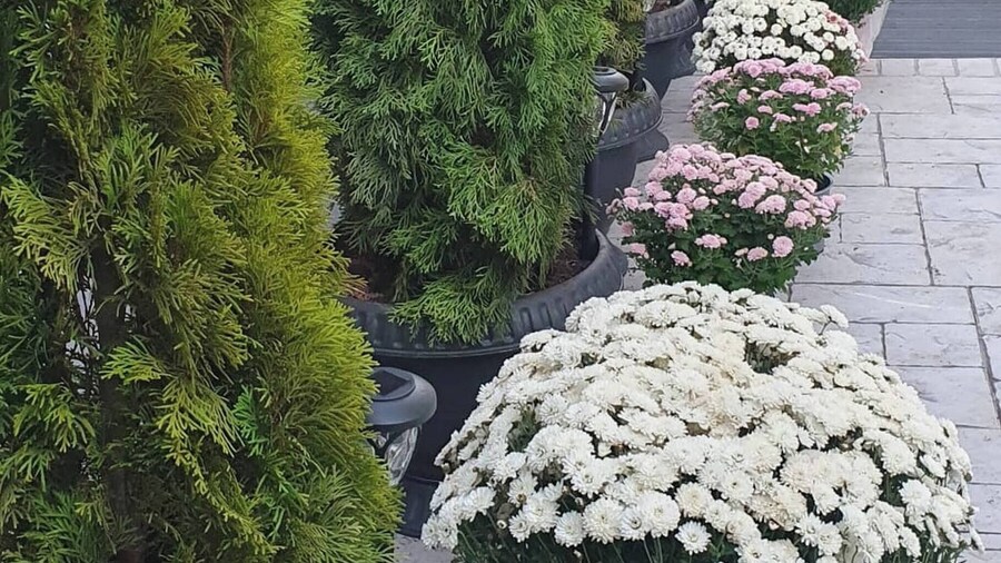 The Little House in Copou