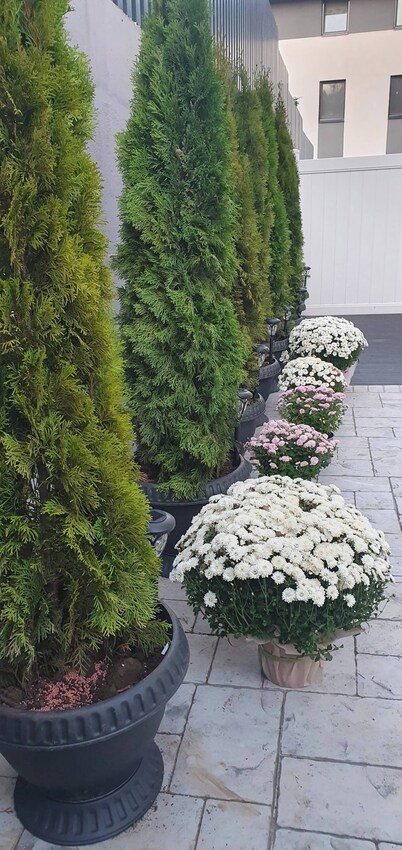 The Little House in Copou