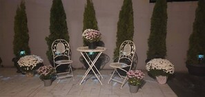 公寓, 1 間臥室, 陽台 | 露台/庭院