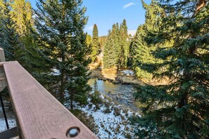 Property grounds - Charming Two Bed, Three Bath Nestled In The Heart Of Breckenridge! (Breckenridge)