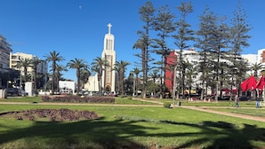 A park with a central lawn, palm trees, and a tall building with a cross.
