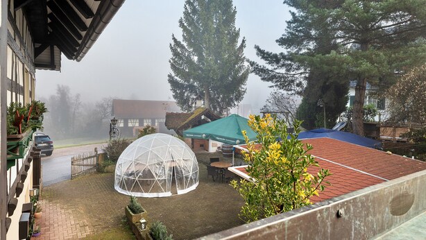 A gazebo, a tennis court, and a large tree in a residential setting. - Room “Buche” with Shared Garden and Wi-Fi (Sasbachwalden)