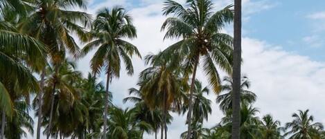 Majoituspaikan julkisivu