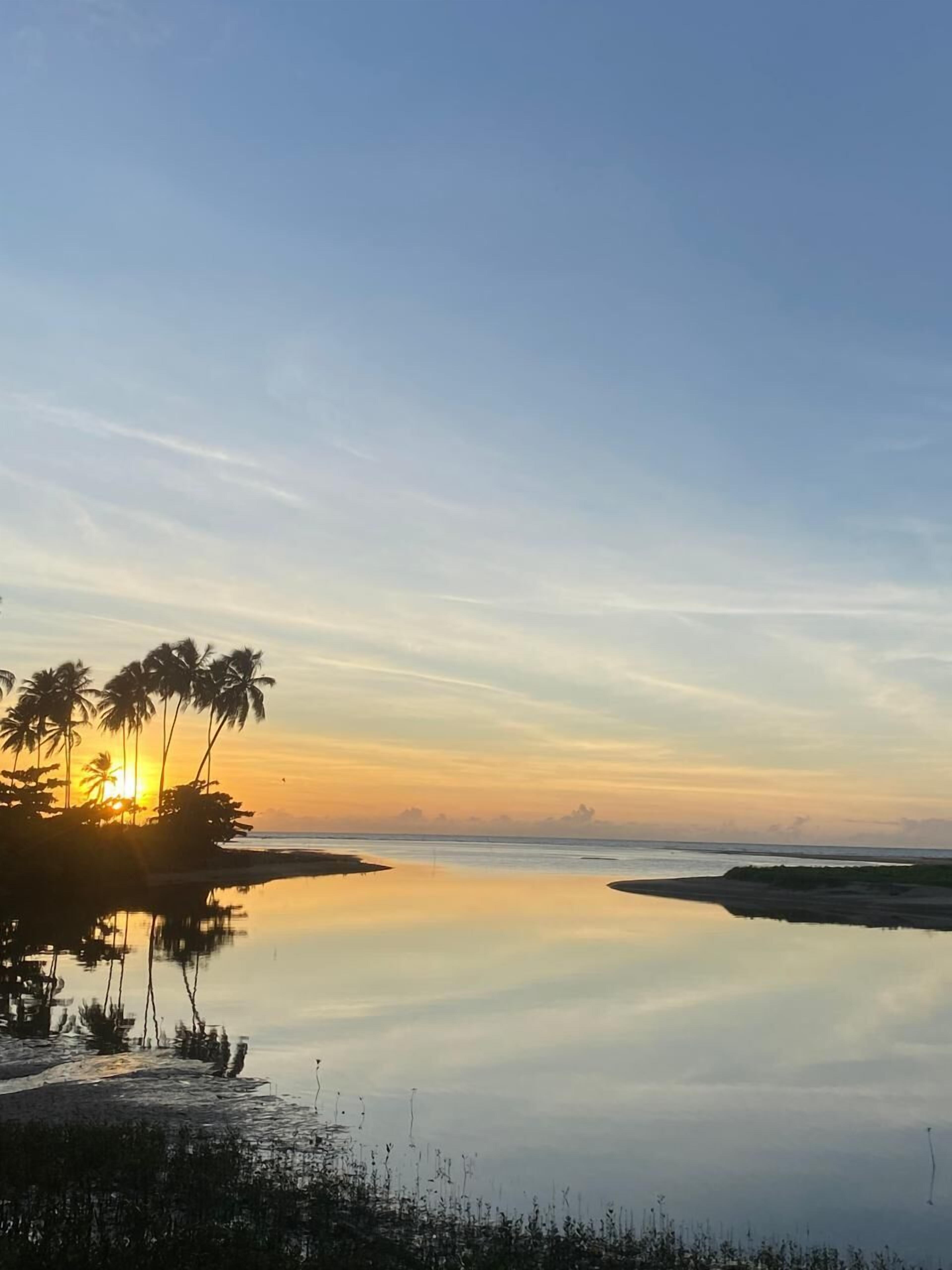 A calm beach scene with palm trees and a sunset.