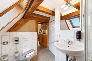 Shower, hair dryer, towels - Apartment "Tanne" with Shared Garden and Wi-Fi (Sasbachwalden)