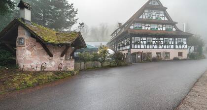 Apartment "Zeder" with Shared Garden and Wi-Fi