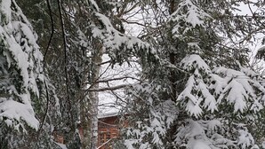 Schneeverdeckte Landschaft mit einem Holzzaun und einem Wegweiser, der einen Ort anzeigt.