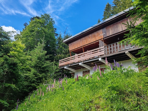 A wooden building with a balcony, surrounded by lush greenery and trees.