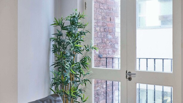 Ein Zimmer mit großem Fenster, einer Bambuspflanze und einem grauen Sofa.