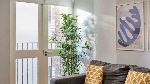 Ein Wohnzimmer mit einem grauen Sofa, zwei gemusterten Kissen, einer großen Bambuspflanze und einem gerahmten abstrakten Kunstwerk an der Wand.
