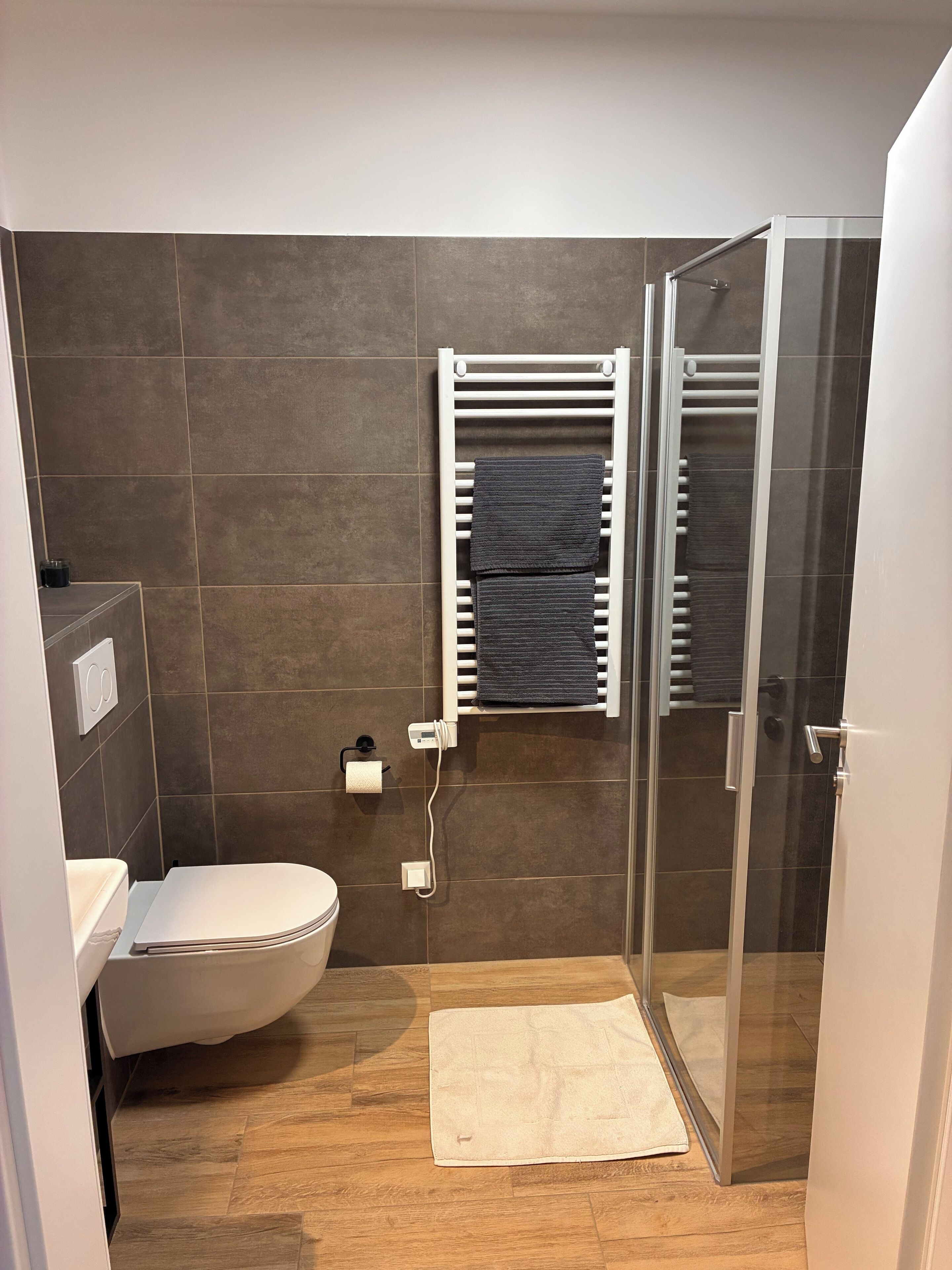 Dusche, Haartrockner, Handtücher, Seife