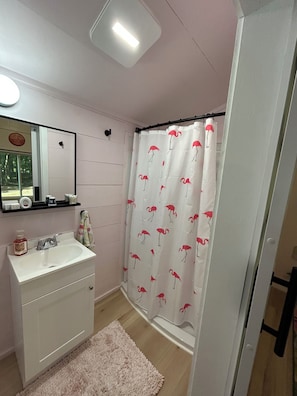 Shower, towels, soap, toilet paper