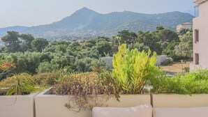 A residential area with a mountain in the background, surrounded by greenery and buildings. - Magnificent T3 with all comforts, very large terrace 10 minutes walk from the beach (L'Île-Rousse)