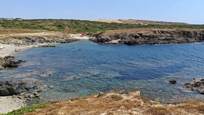 Lettini da mare