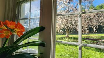 A window with a view of a tree with pink blossoms and a green lawn.