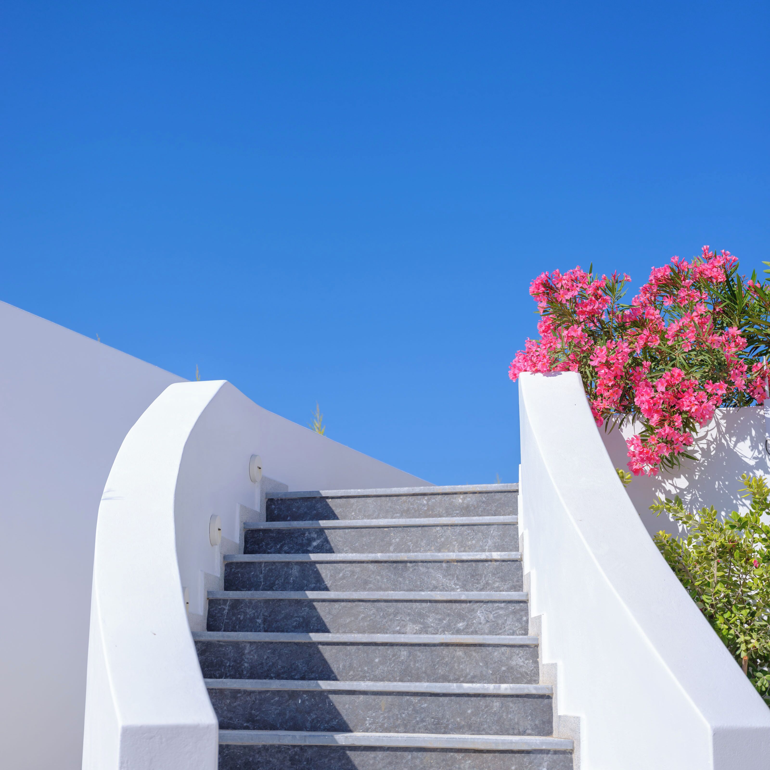 Building design