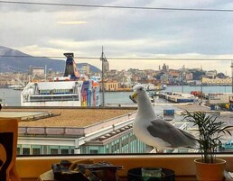 Un gabbiano appollaiato su un davanzale con vista su un porto, una nave da crociera e uno skyline sullo sfondo.