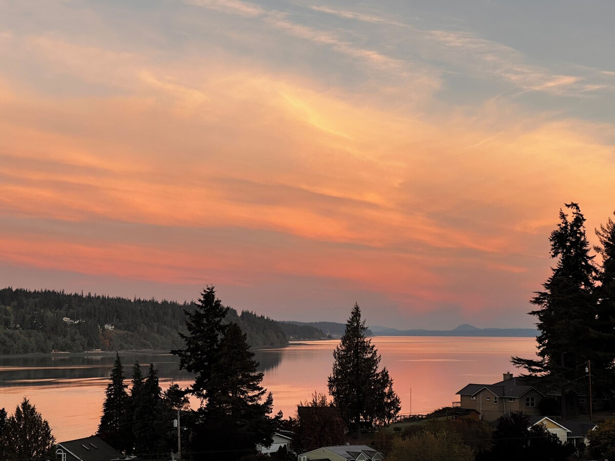 Imagen de perfil del propietario o de la propietaria