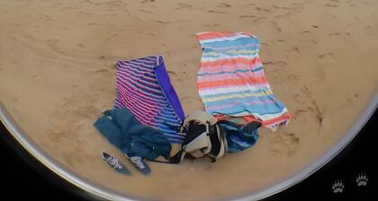 Sunflower Escape Cottage in Natura 2000 with Heated Pool