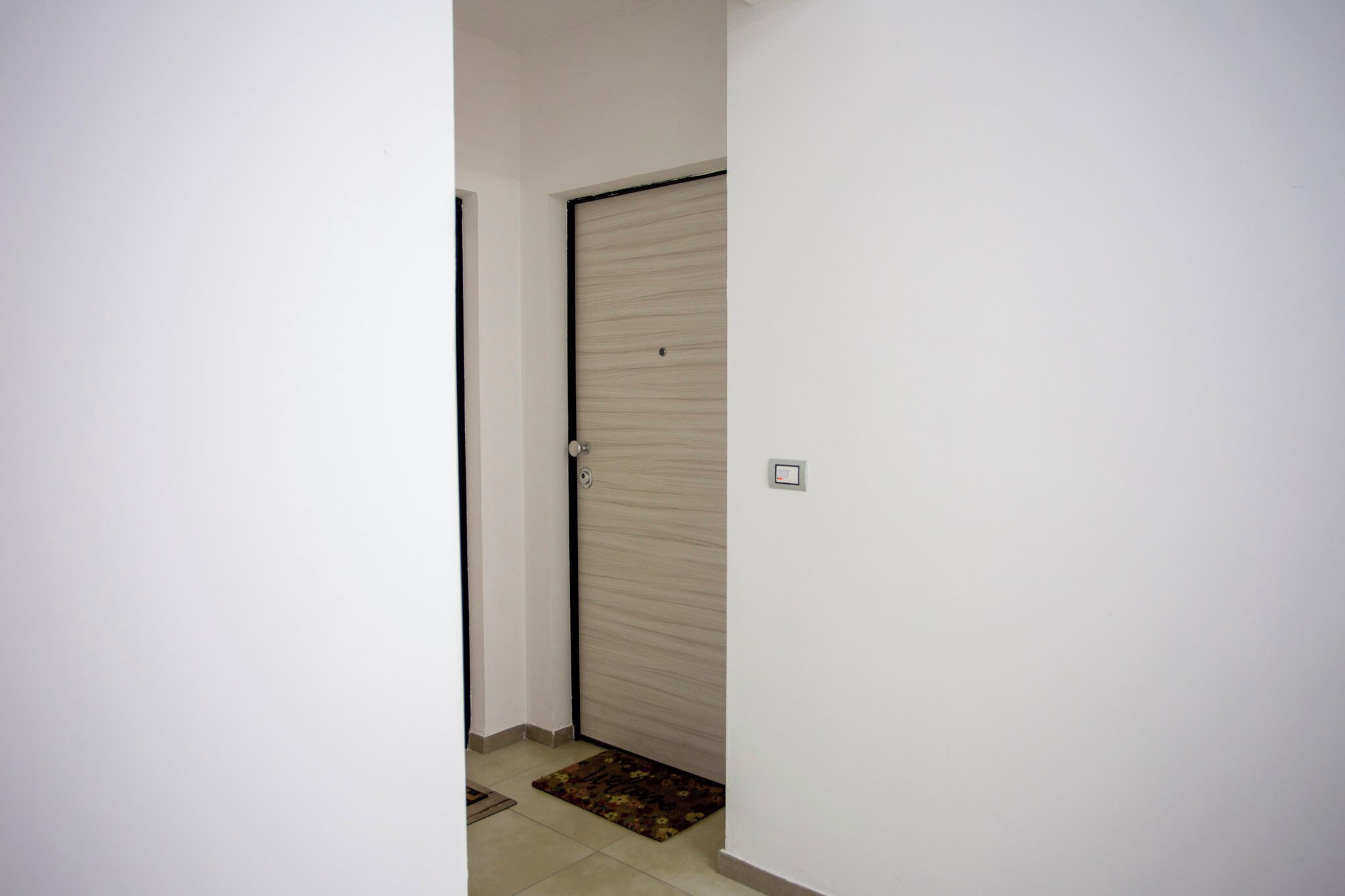 A closed door with a light switch on the wall.