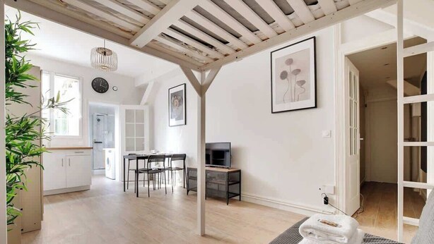 A modern living room with a sofa, a TV, and a dining area with chairs and a table. - Appartement cosy avec jardin proche de République (Paris)