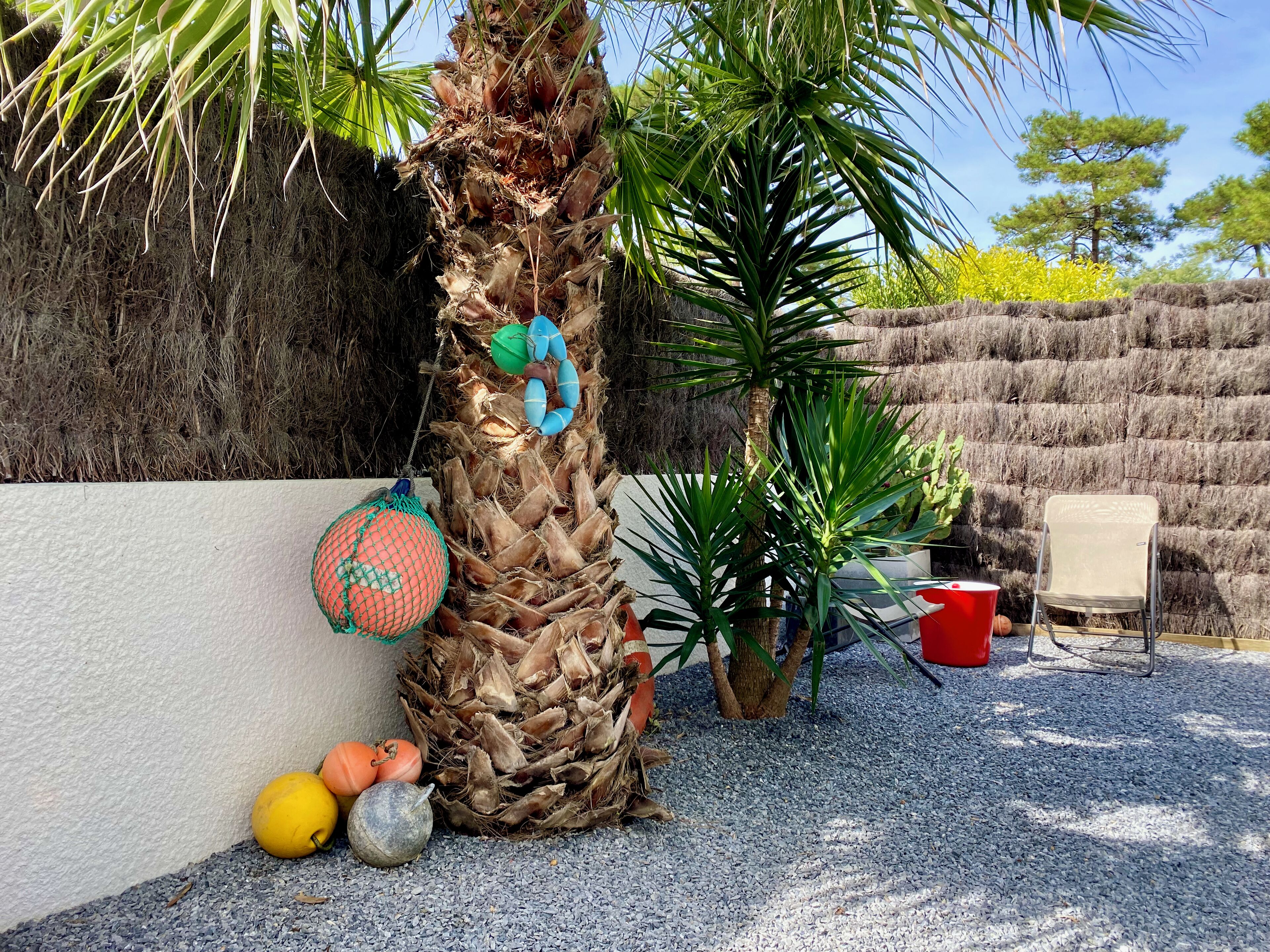 テラス / パティオ