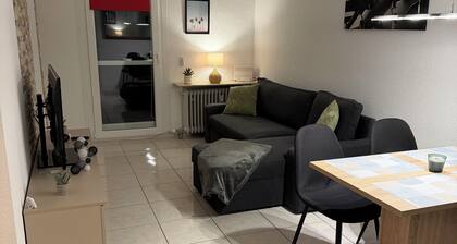 Apartment on the Betzenberg