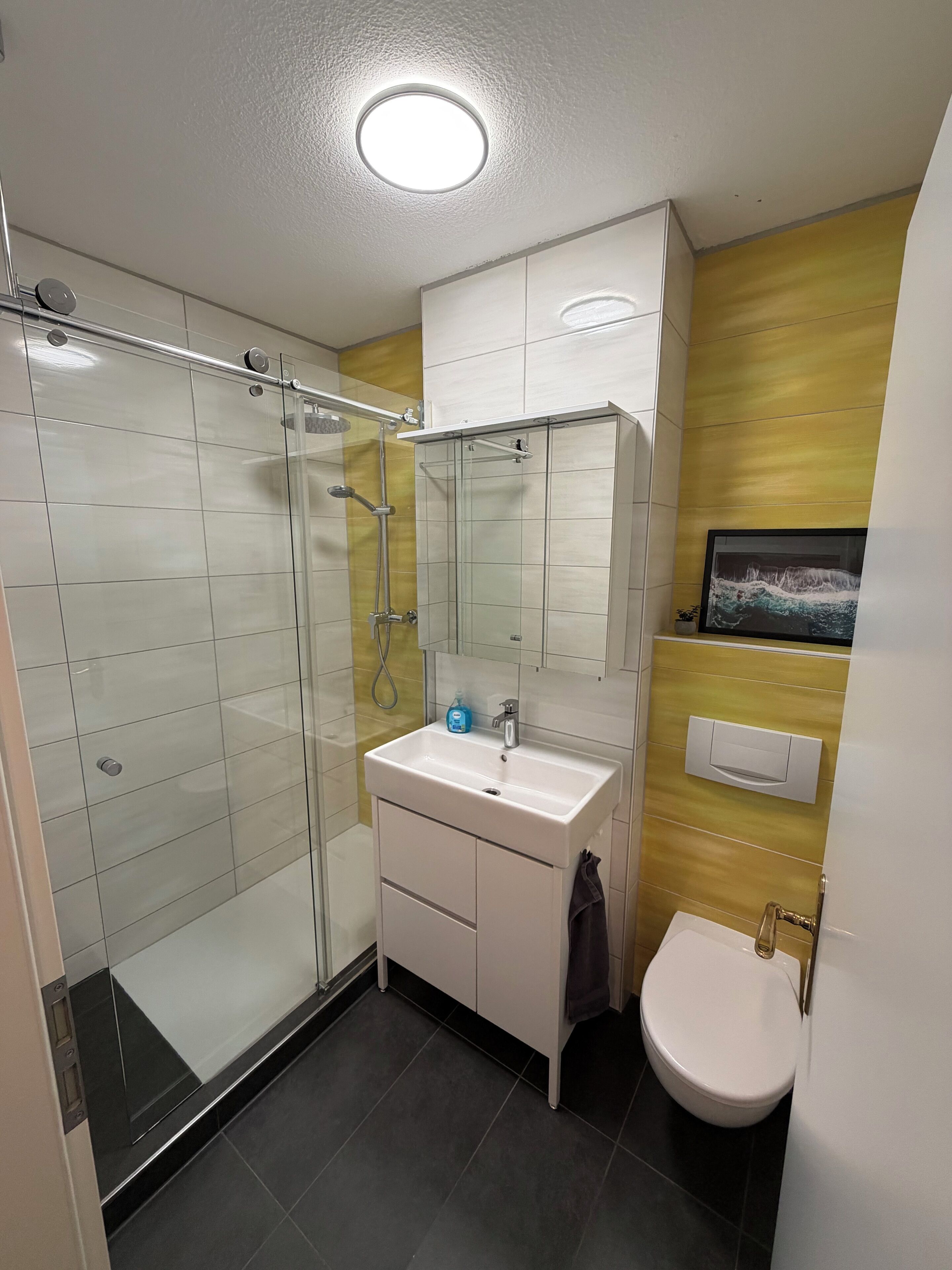 Dusche, Haartrockner, Handtücher