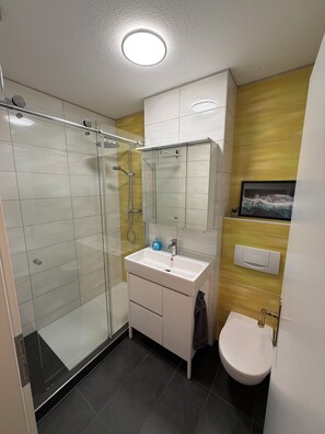 Shower, hair dryer, towels