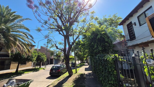 Een woonstraat met huizen, een geparkeerde auto en een boom met paarse bloemen.
