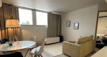 Spacious 1BR Apt. near the city center